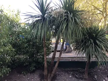 RDC Landscapes - The Spirit of Cornwall