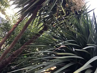 RDC Landscapes - The Spirit of Cornwall